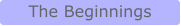 The Beginnings